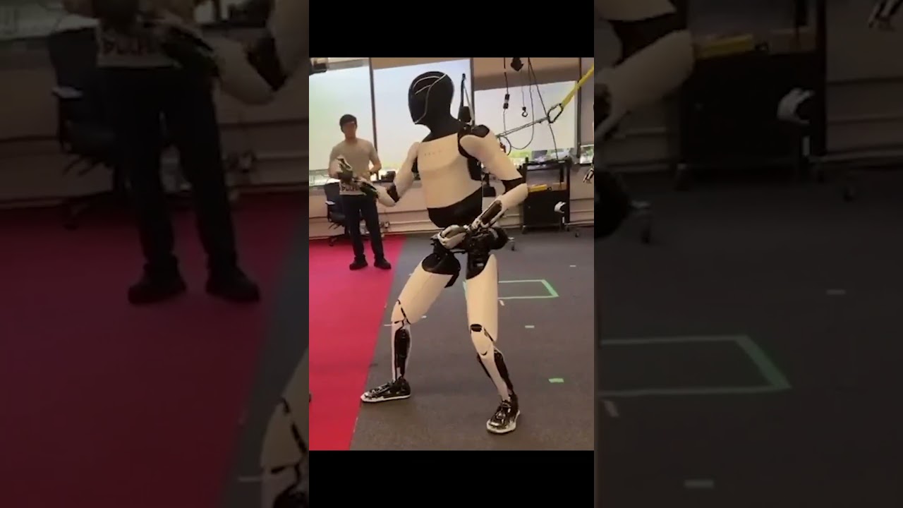 Tesla Optimus Learns Kung Fu