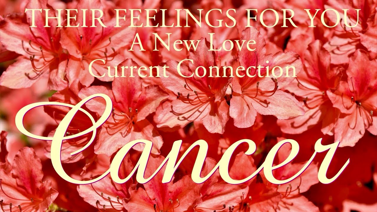 CANCER love tarot ♋️ This Hardworking Person Wonders What It Would Be Like To Be With You Cancer