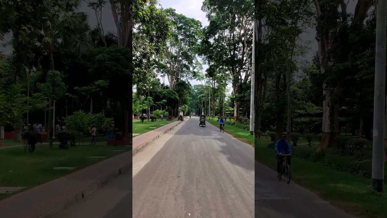 Rajshahi University Paris Road