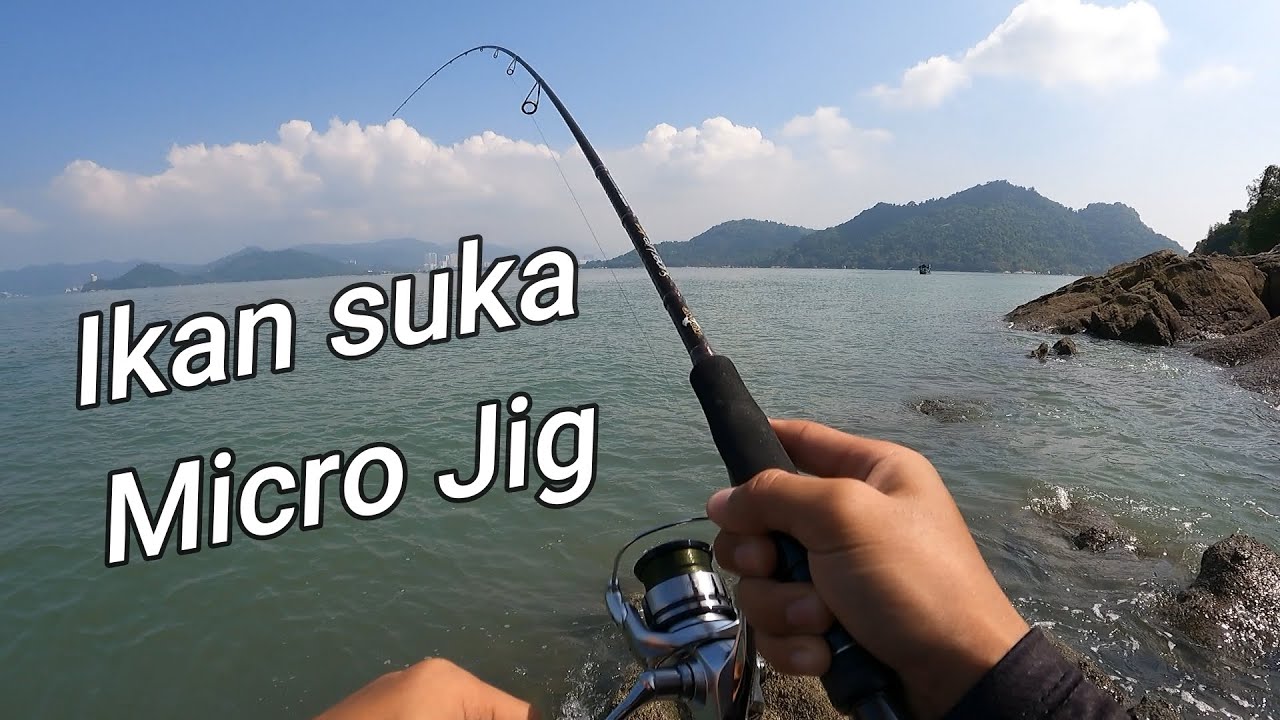 micro jigging || ikan GT dan talang || Kuying superlite Ajing