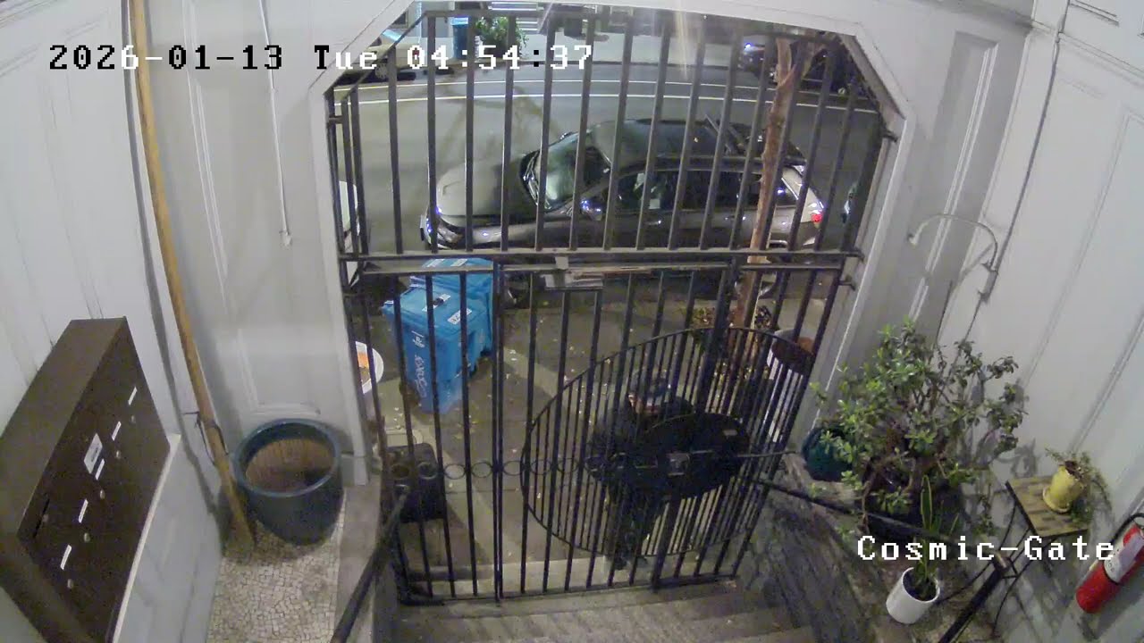 2026 Tuesday morning crime - The mailman felt violated - who did this?