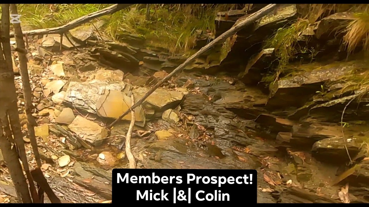 Finding GOLD with the Members! | Mick Day 1 | Colin Day 2