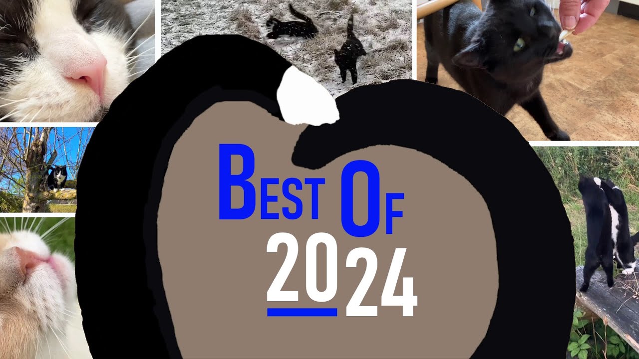 Best sounds and moves from Mads and Martin in 2024