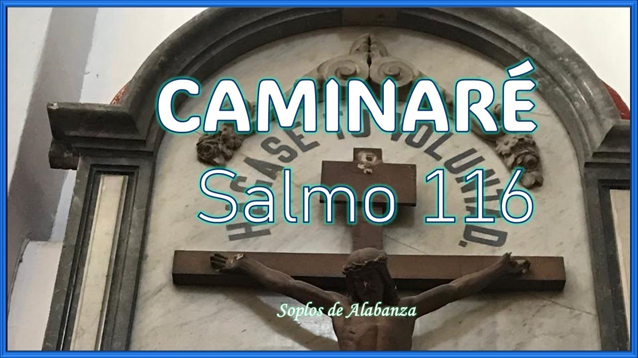 CAMINARÉ Salmo 116  Soplos de Alabanza