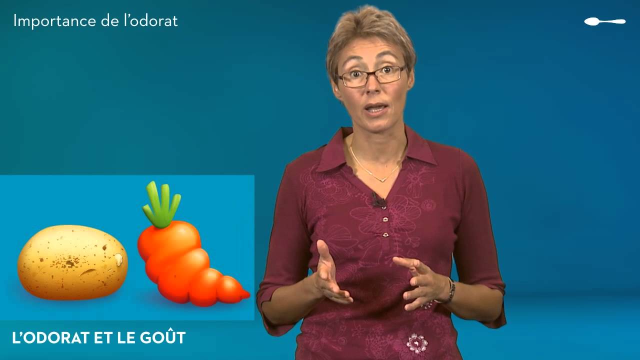 L'alimentation et les 5 sens - Perception olfactive