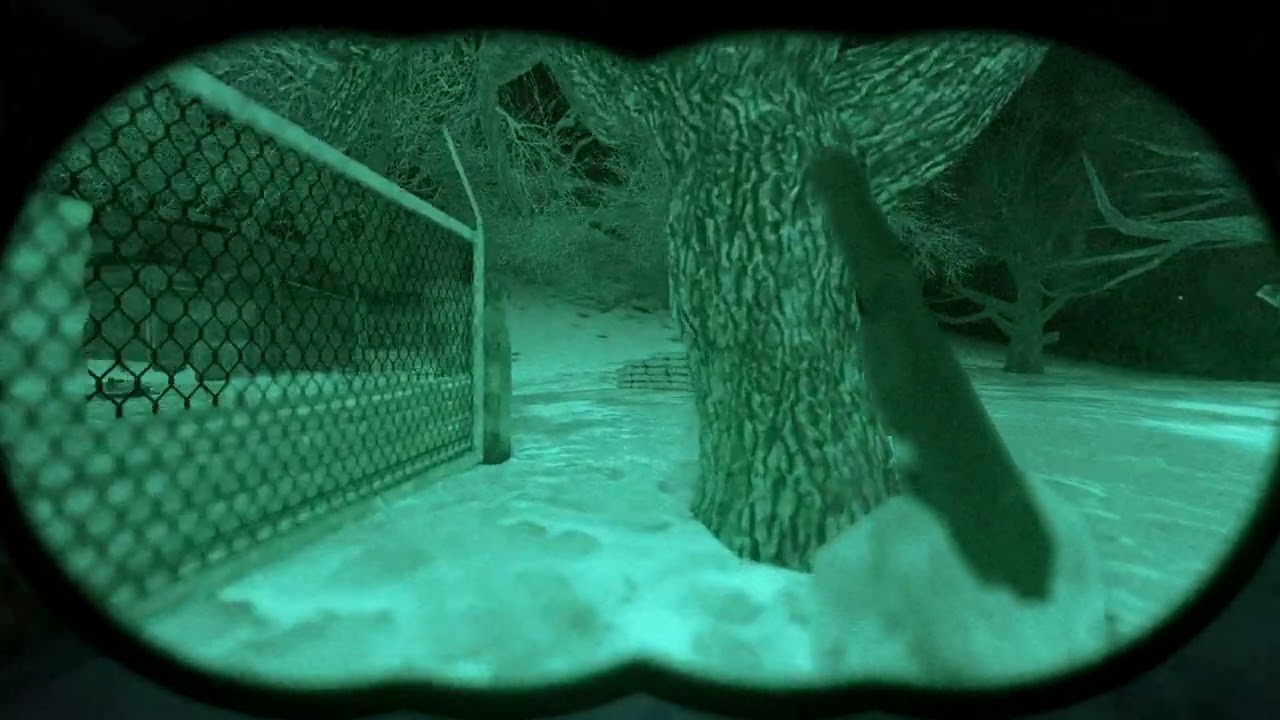 My dude really heard the grass in Stalker Gamma