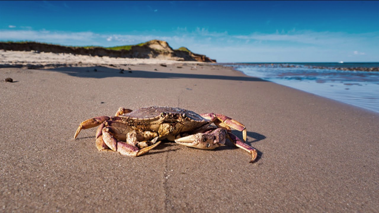 Photos des îles de la Madeleine