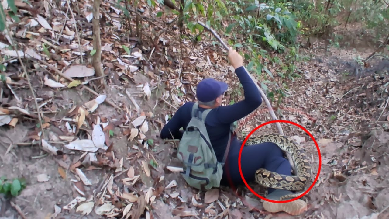 SUPRESA NA TRILHA DE JEQUIÁ DA PRAIA (JACARECICA DO SUL) 18/01/2026