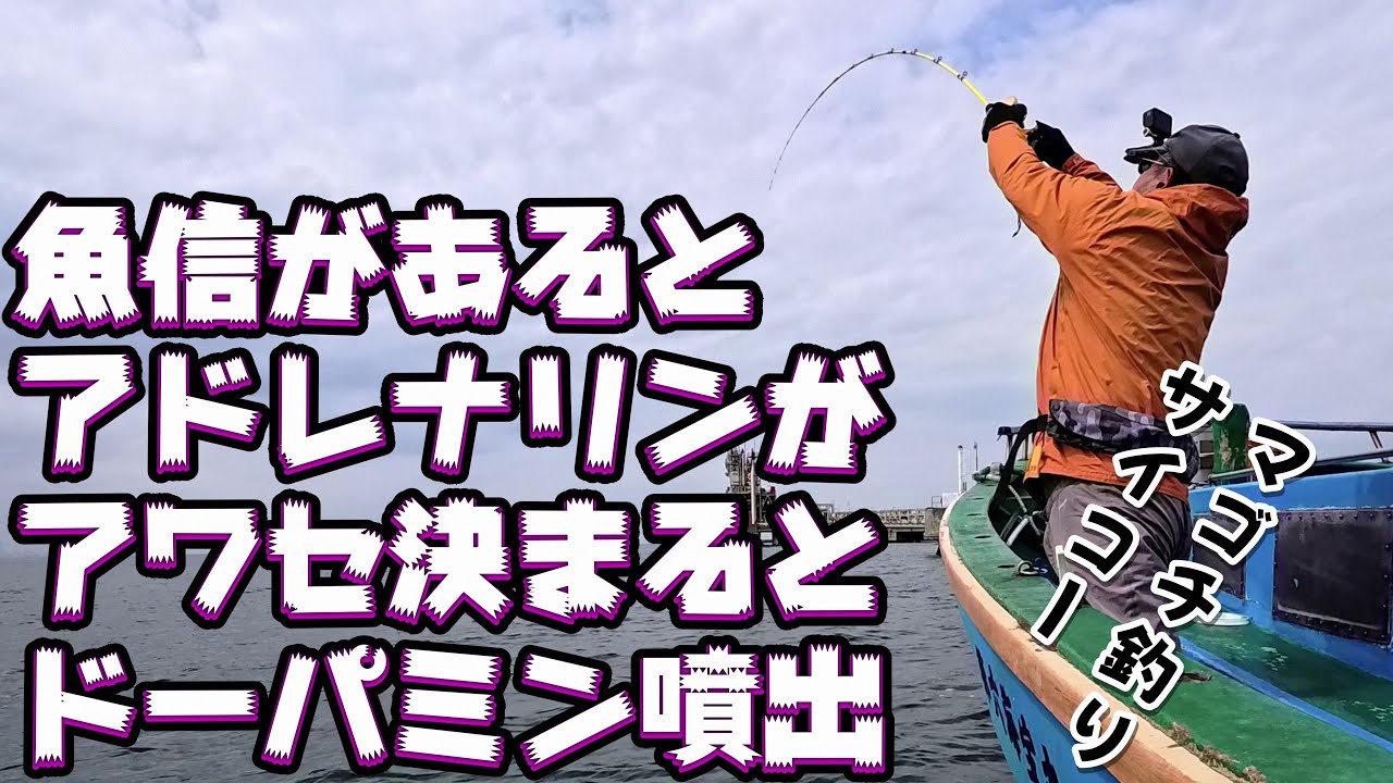 瞳を閉じて60数えるとイカやアカクラゲではなくマゴチが釣れたよ～多動性は封印して珍しくじっくり魚信を待ってみた～（2025.4.26 羽田・かみや マゴチ）