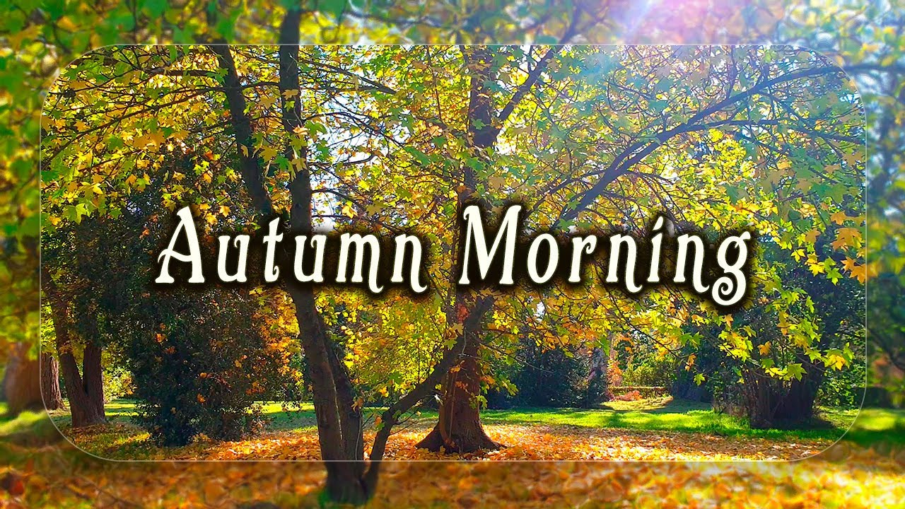 Beautiful Autumn Morning & Positive Energy 🍂 Healing Frequency 🍂 Relaxing Nature Ambience Meditation