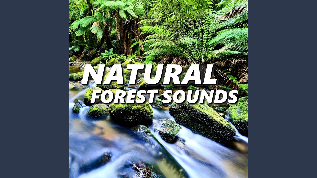 Authentic Jungle Sounds