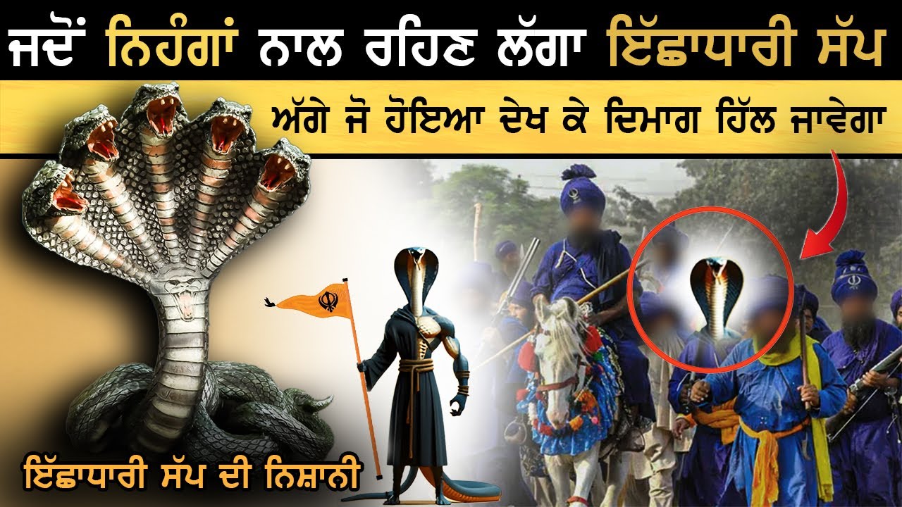 ਇਹ ਦੇਖਣ ਤੋਂ ਬਾਅਦ ਸੱਪ ਨੂੰ ਭੁੱਲਕੇ ਵੀ ਨਹੀਂ ਮਾਰੋਂਗੇ ॥ Real Miracle With Nihang Singhs