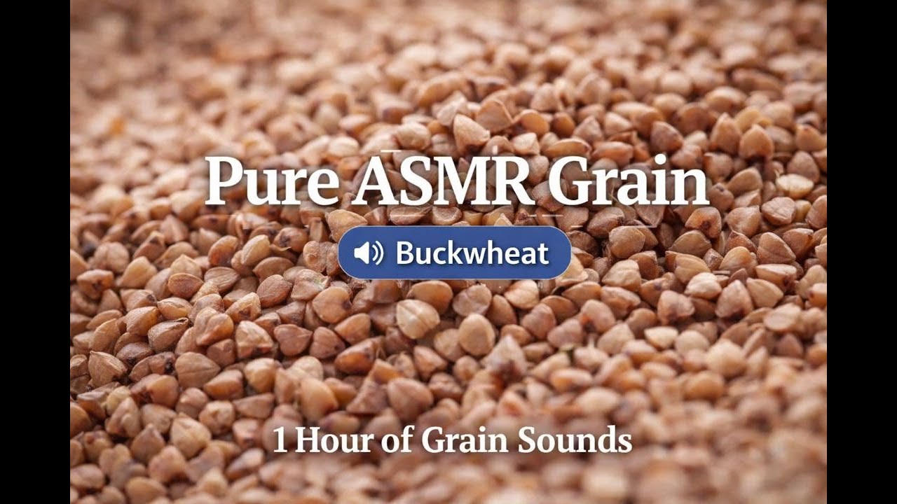 Pure ASMR Buckwheat 🌾 | 1 Hour Grain Sounds for Sleep, Relax & Focus