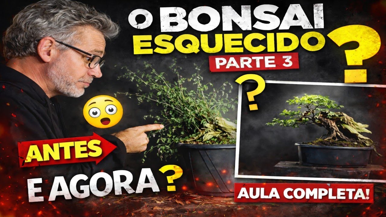 O Bonsai Esquecido — Episódio 3: A Copa que Ninguém Sabia Como Formar (Semi-Cascata Revelada)