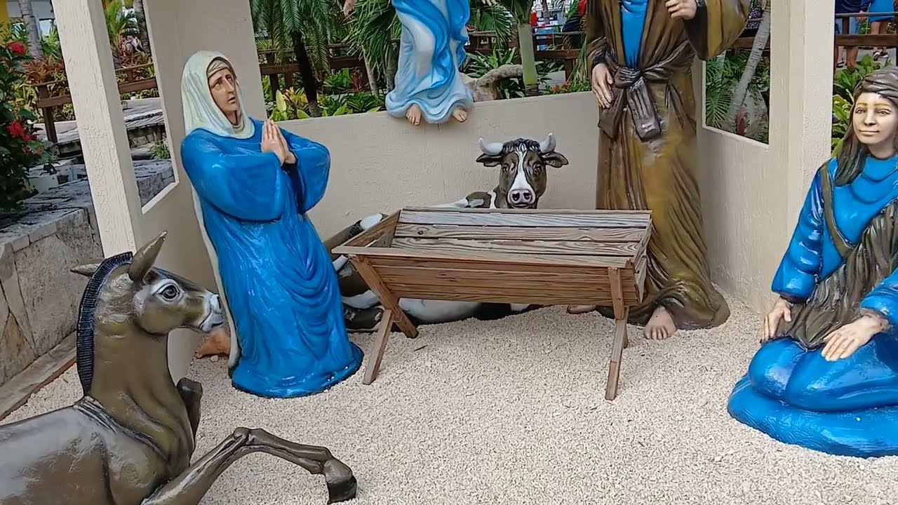 Star Princess cruise ship in Cozumel, Mexico December 2025