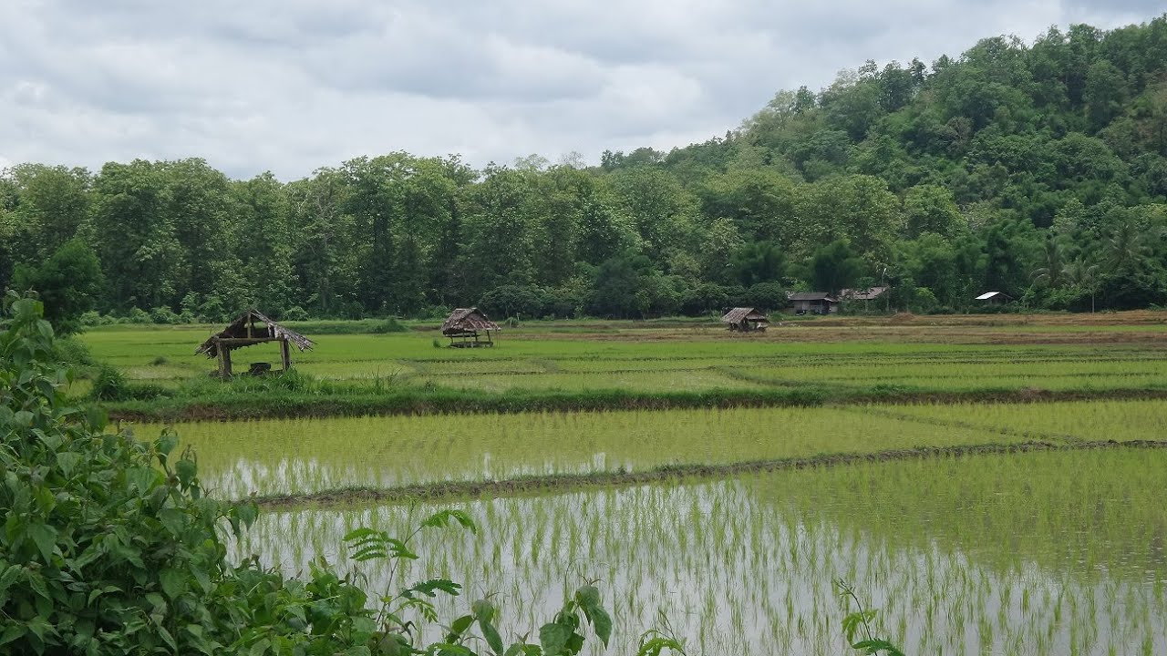 Driving around Mae Sariang, Thailand, 2016