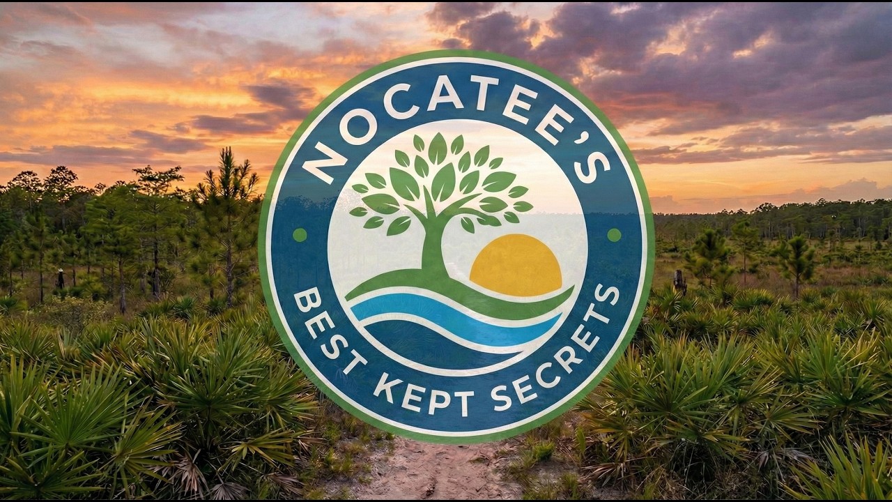 Top 4 Hidden Gems in Nocatee | Nature, Trails & More