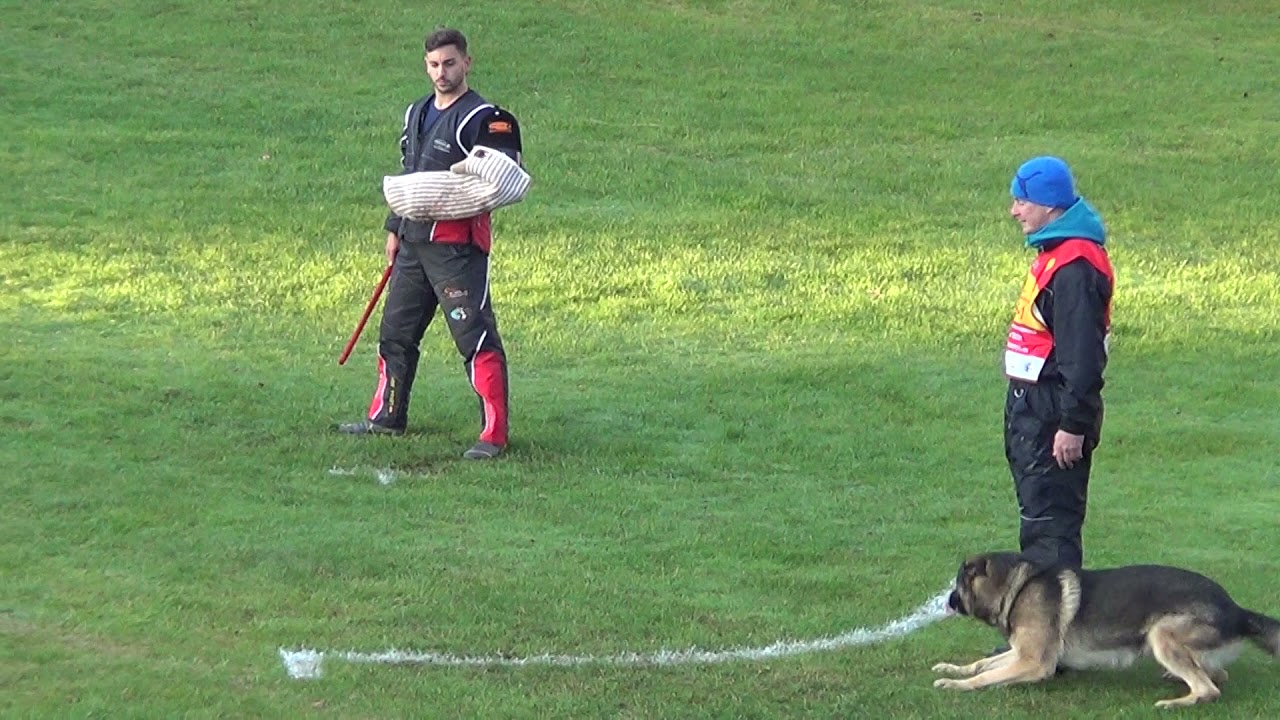 WUSV 2021 CZE 1 -  MAREK CERNY & KENDY Z KRAJE HUSITU C 94