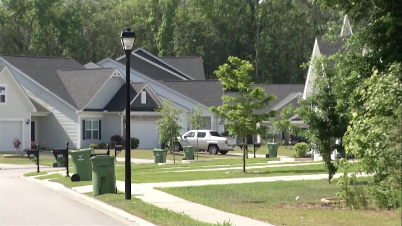 Termite swarms are back, experts suggest keeping lights off