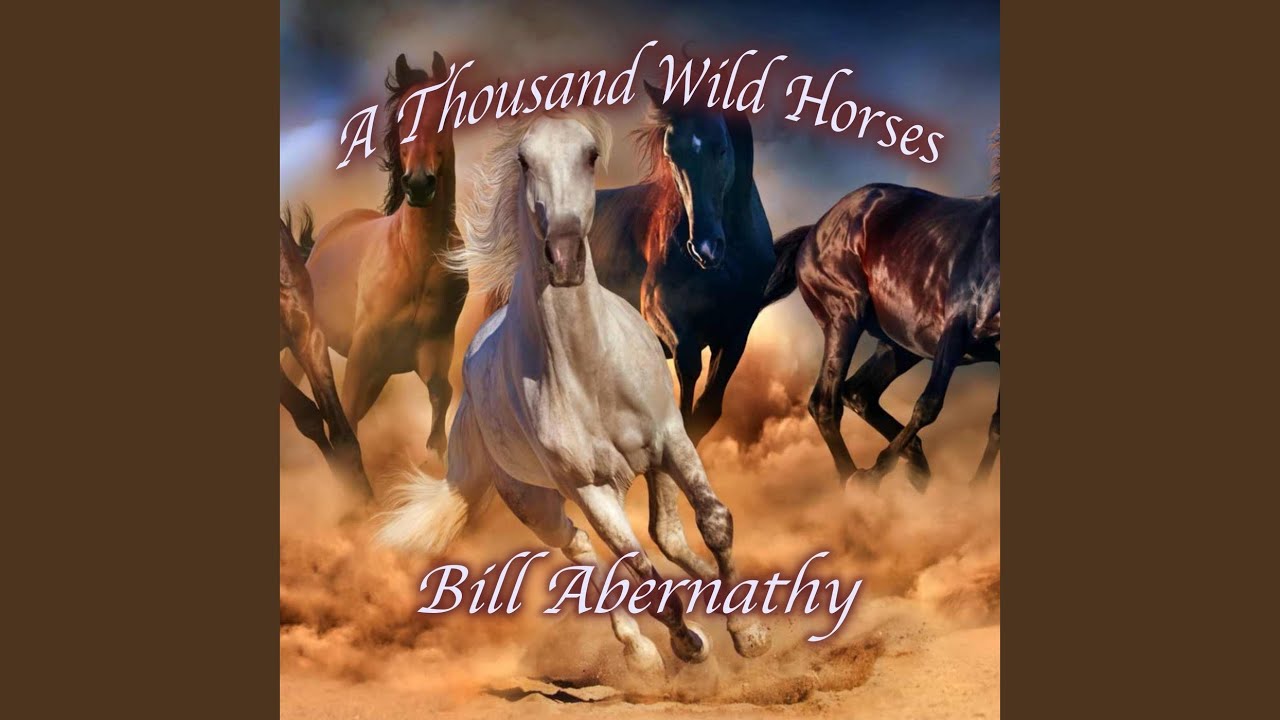 A Thousand Wild Horses
