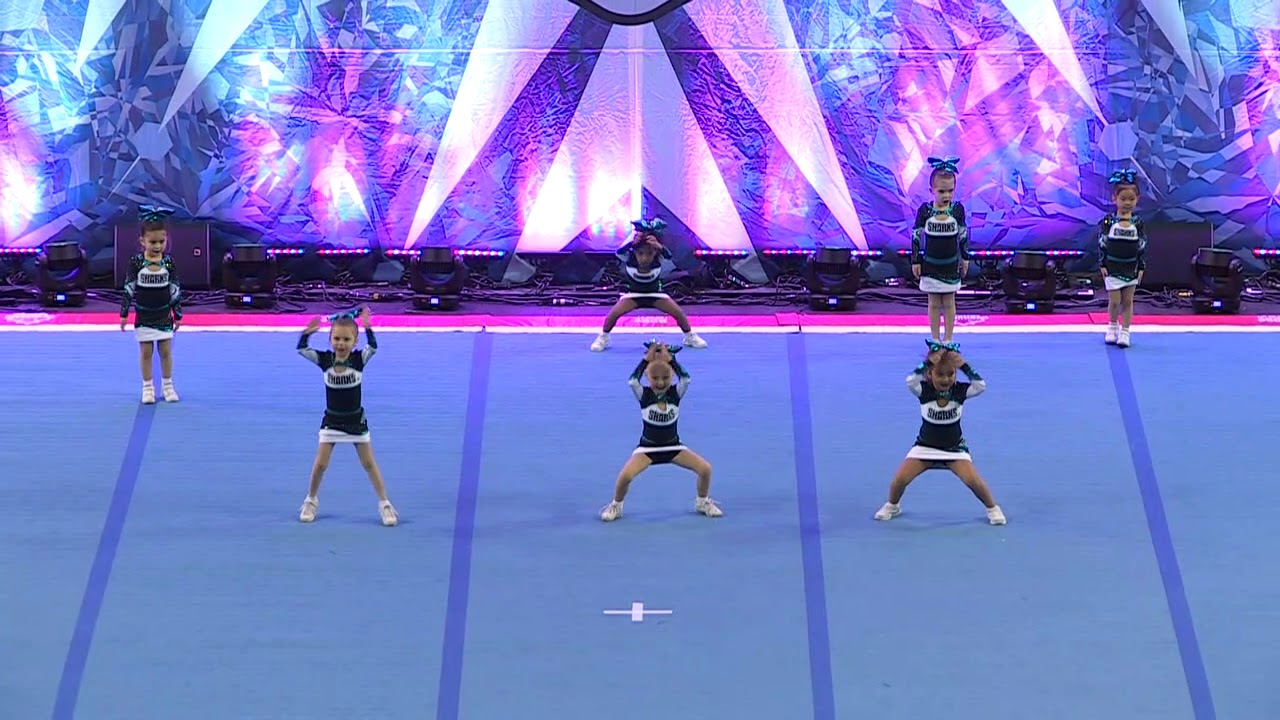 Cheer Sport Pocket Sharks   Tiny NOV