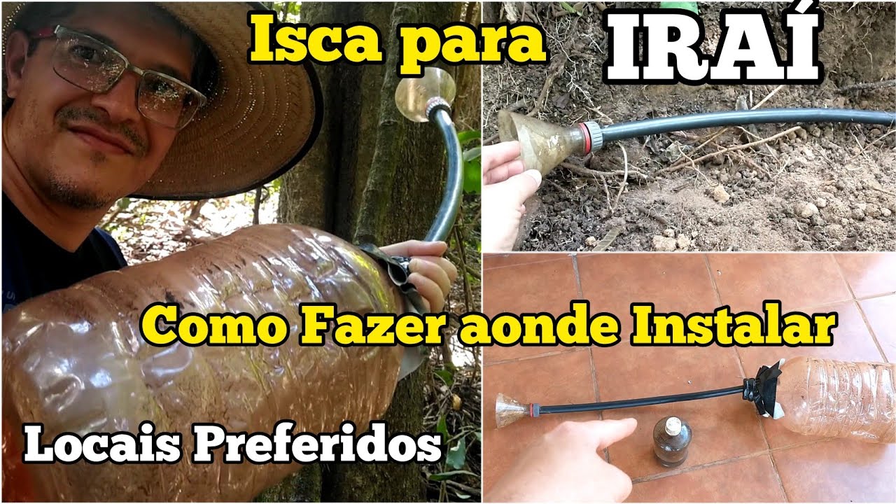 COMO FAZER A ISCA E AONDE ARMAR PRA CAPTURAR ABELHA IRAÍ....