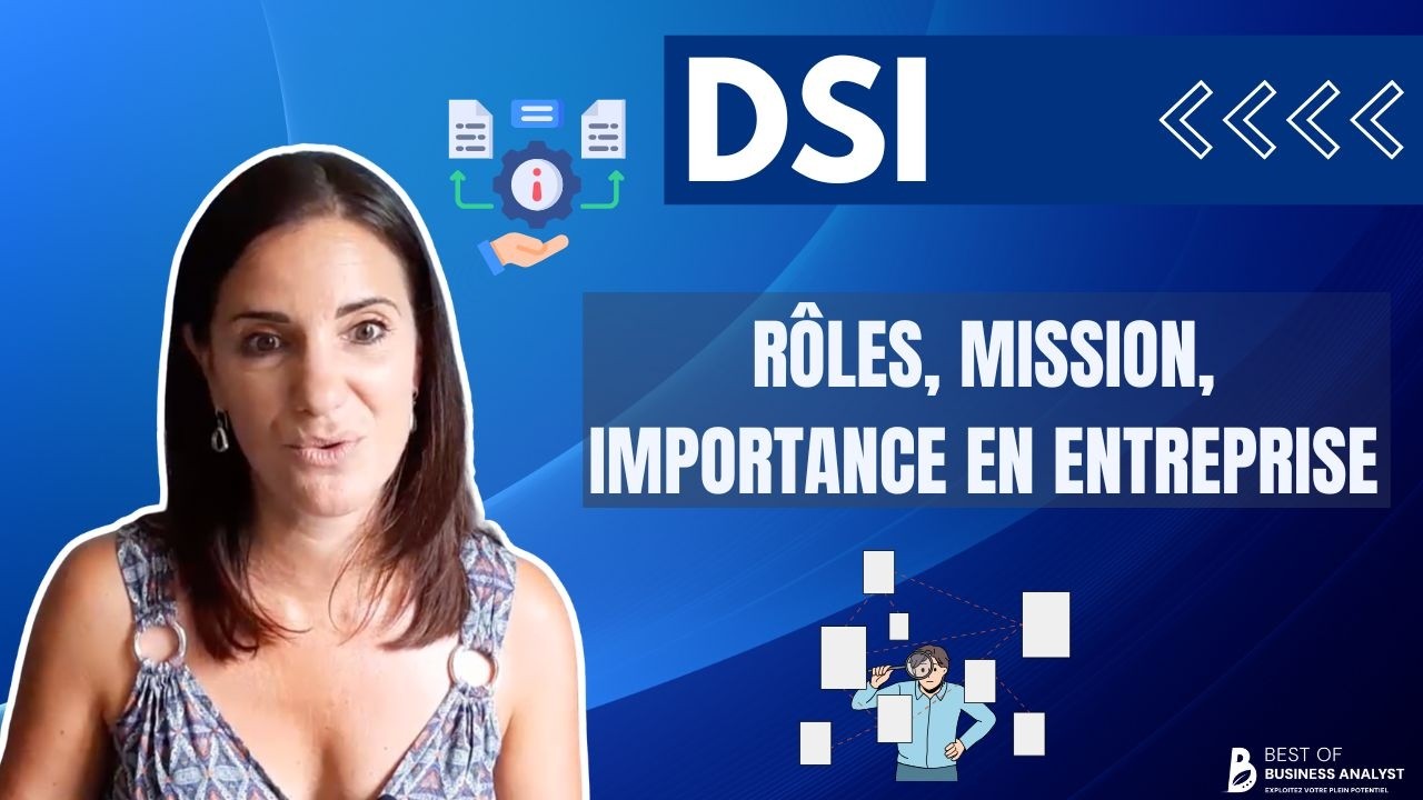 Ce que fait une DSI ?