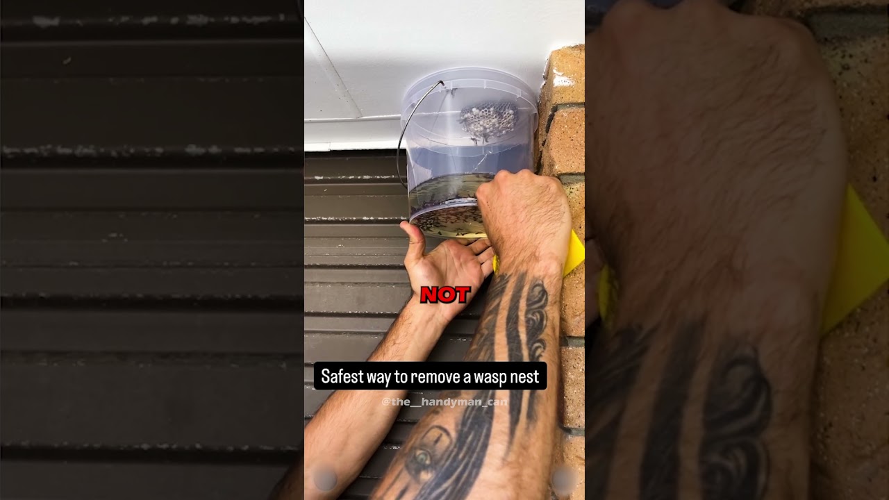 🤯 Petrol + Bucket? Here’s Why It’s a TERRIBLE Idea