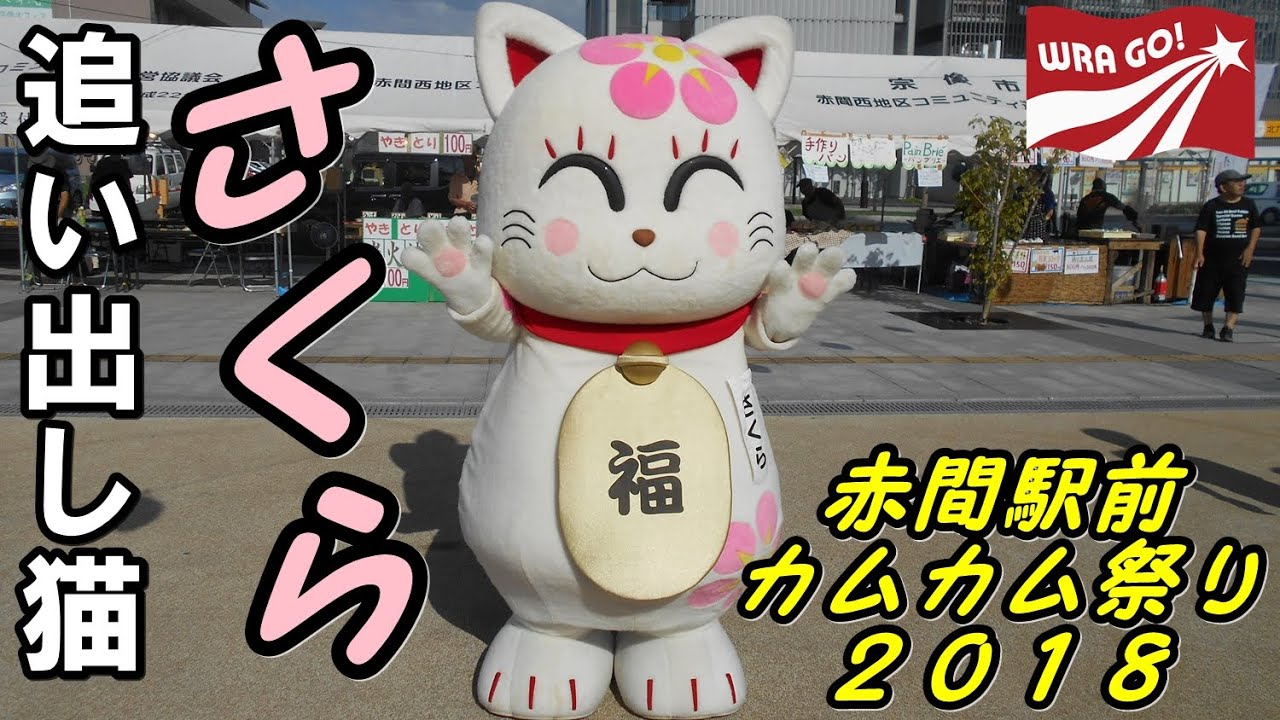 【ゆるキャラ】追い出し猫さくらが宗像に来た！【赤間駅前カムカム祭り2018】