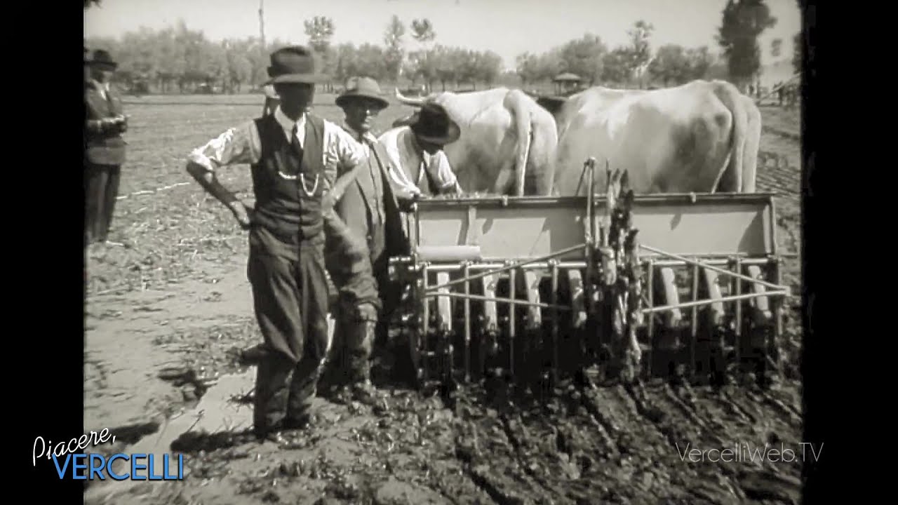 Piacere Vercelli - Vercellese: Fiera agricola negli anni 20 del 1900