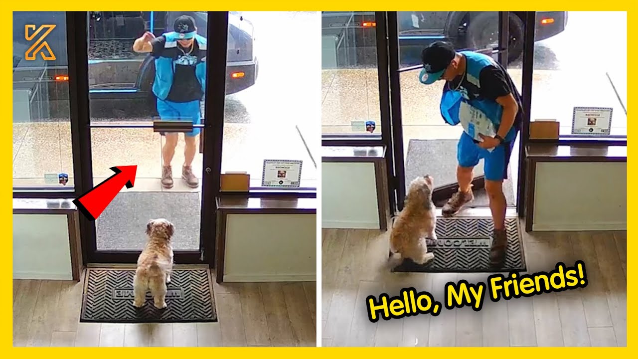 🐕 When Delivery Drivers Meet Fur Babies: Funny Moments Caught on Camera! 🤣
