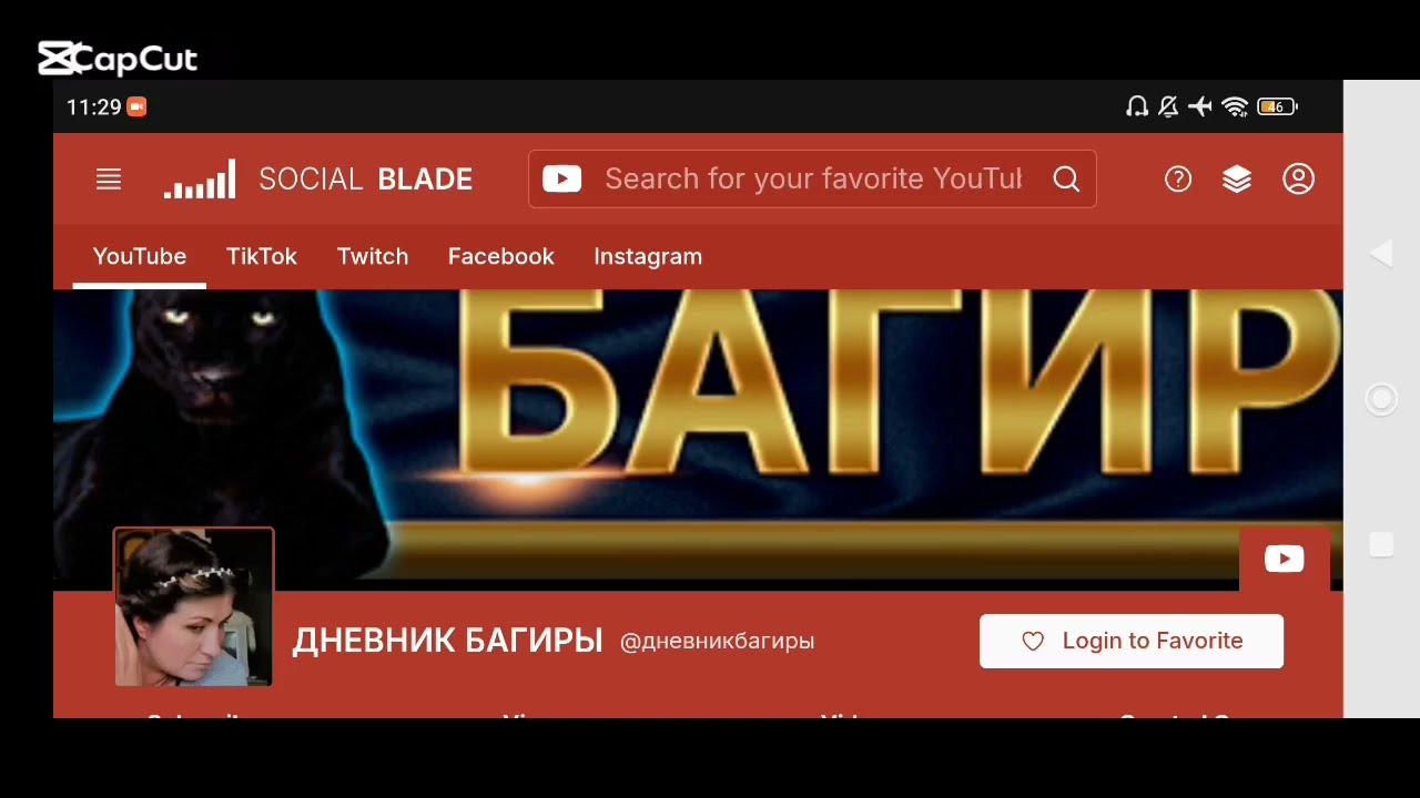 Доход канала Дневник Багиры с монетизации контента на Ютубе 