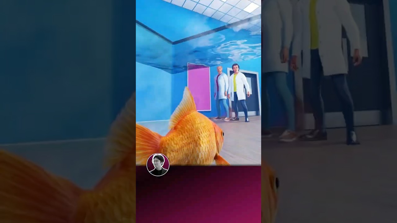 El pez que aprendió a conducir 🐟🎮 