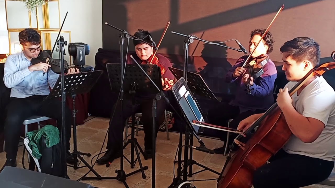 Rude by MAGIC! - string quartet - String Fusion cover
