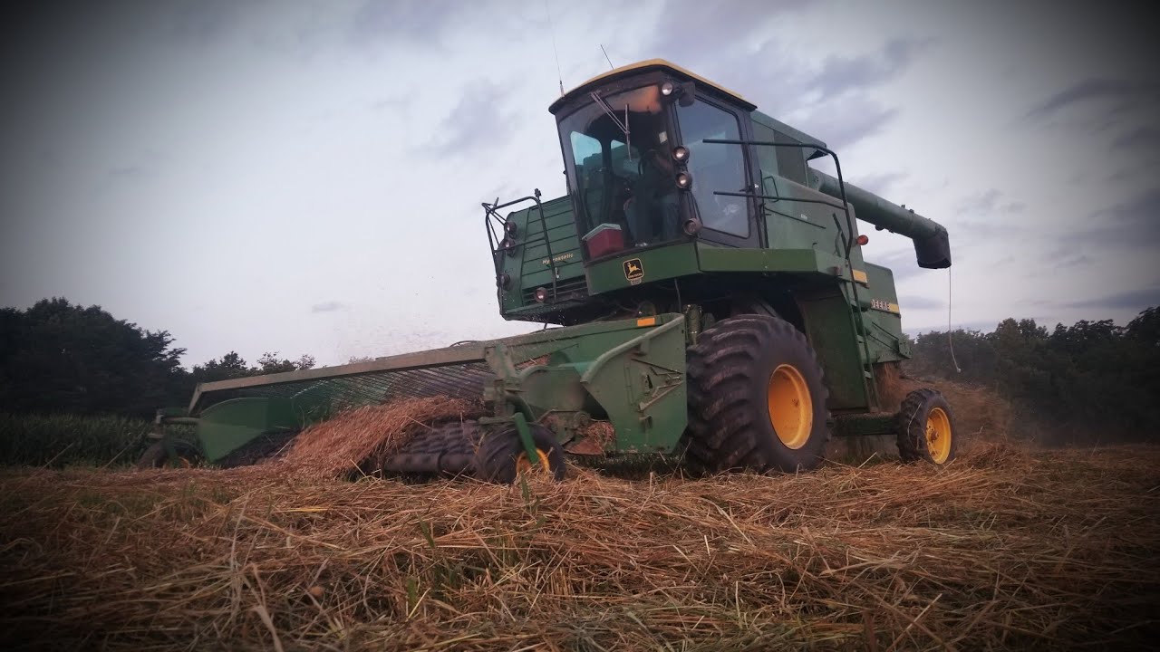 Harvesting Oats 2018 John Deere 6620