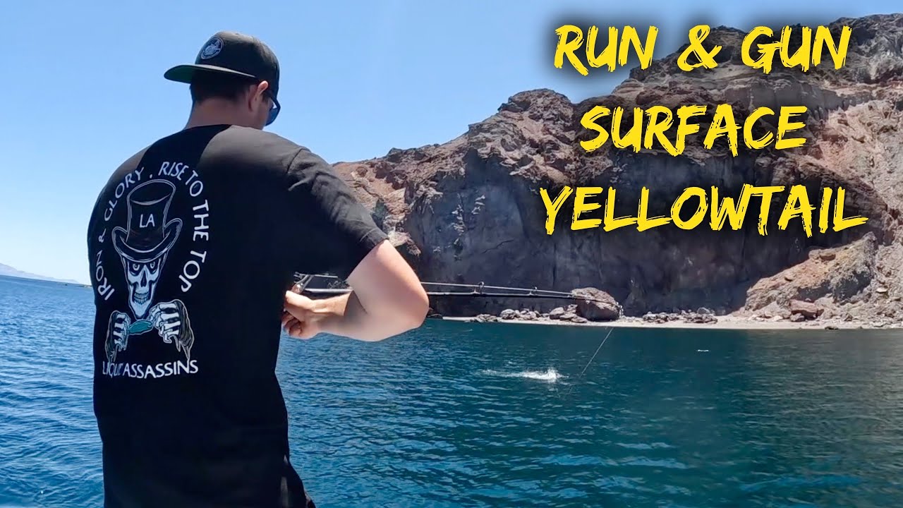 Ep. 3: Surface Iron Yellowtail // Catch & Cook