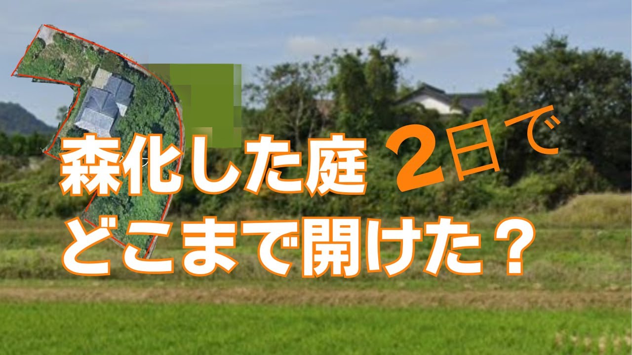 中古物件DIY・森のような庭を切り開く