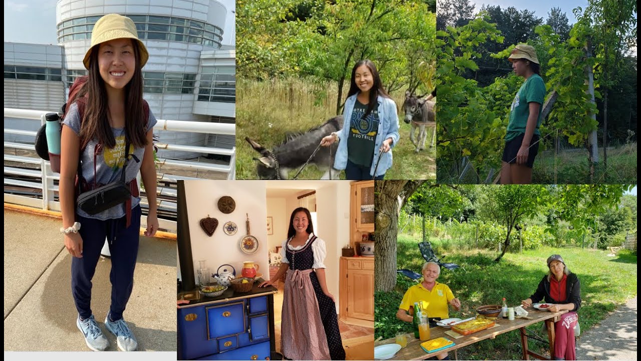 I went WWOOFING in Austria for 3 weeks!