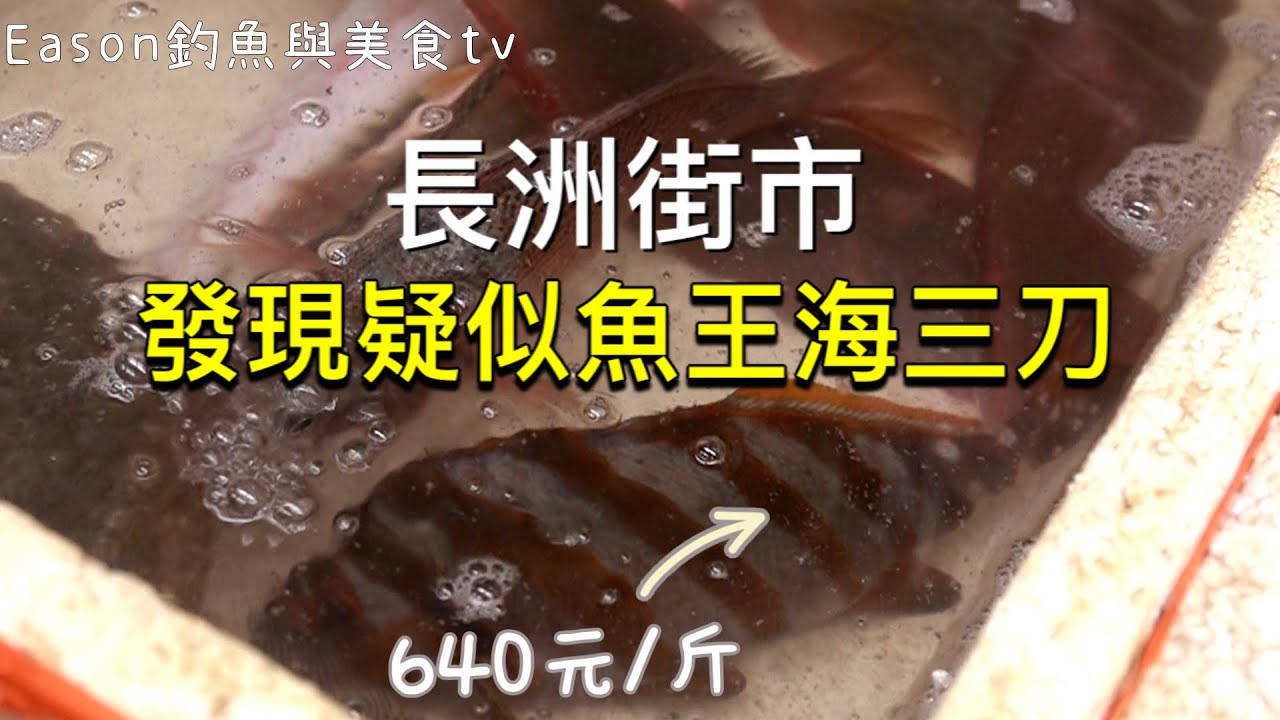 街市︱在長洲街市意外出現爭議很大的魚王三刀640元/斤 忍不住再次買了回家 到底是不是魚王級呢？