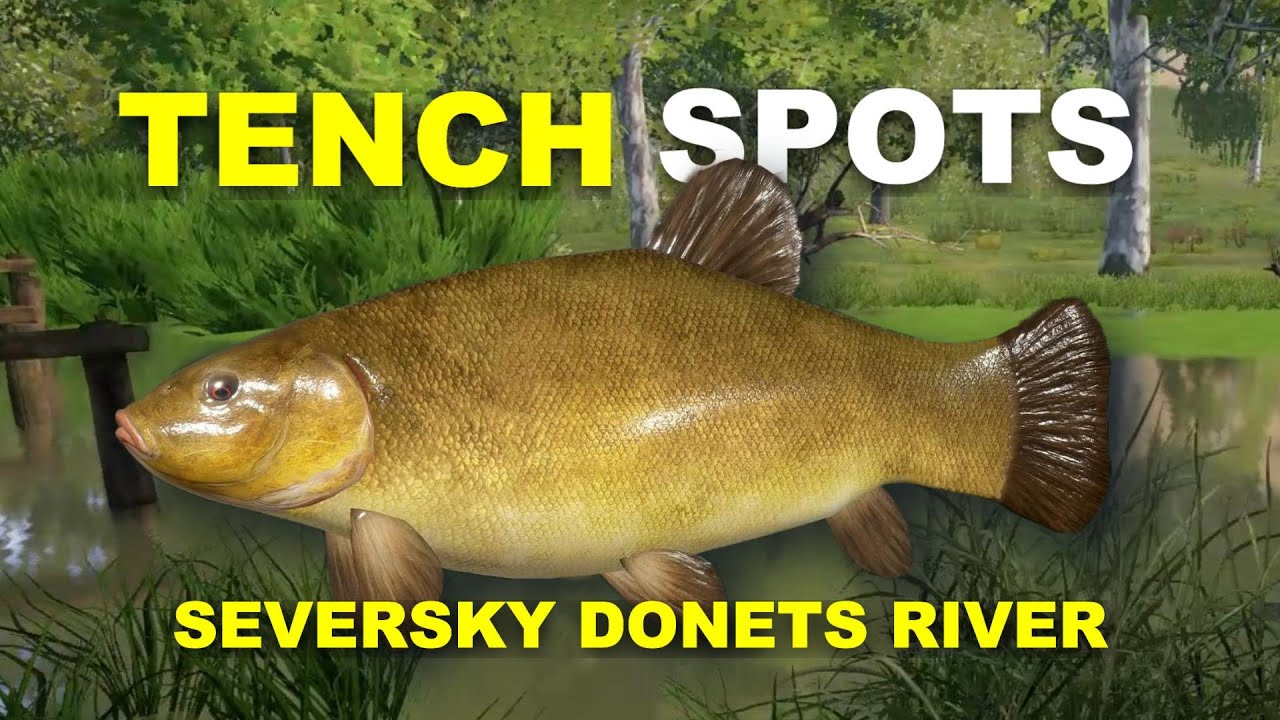 Russian Fishing 4 TENCH SPOTS Seversky Donets River