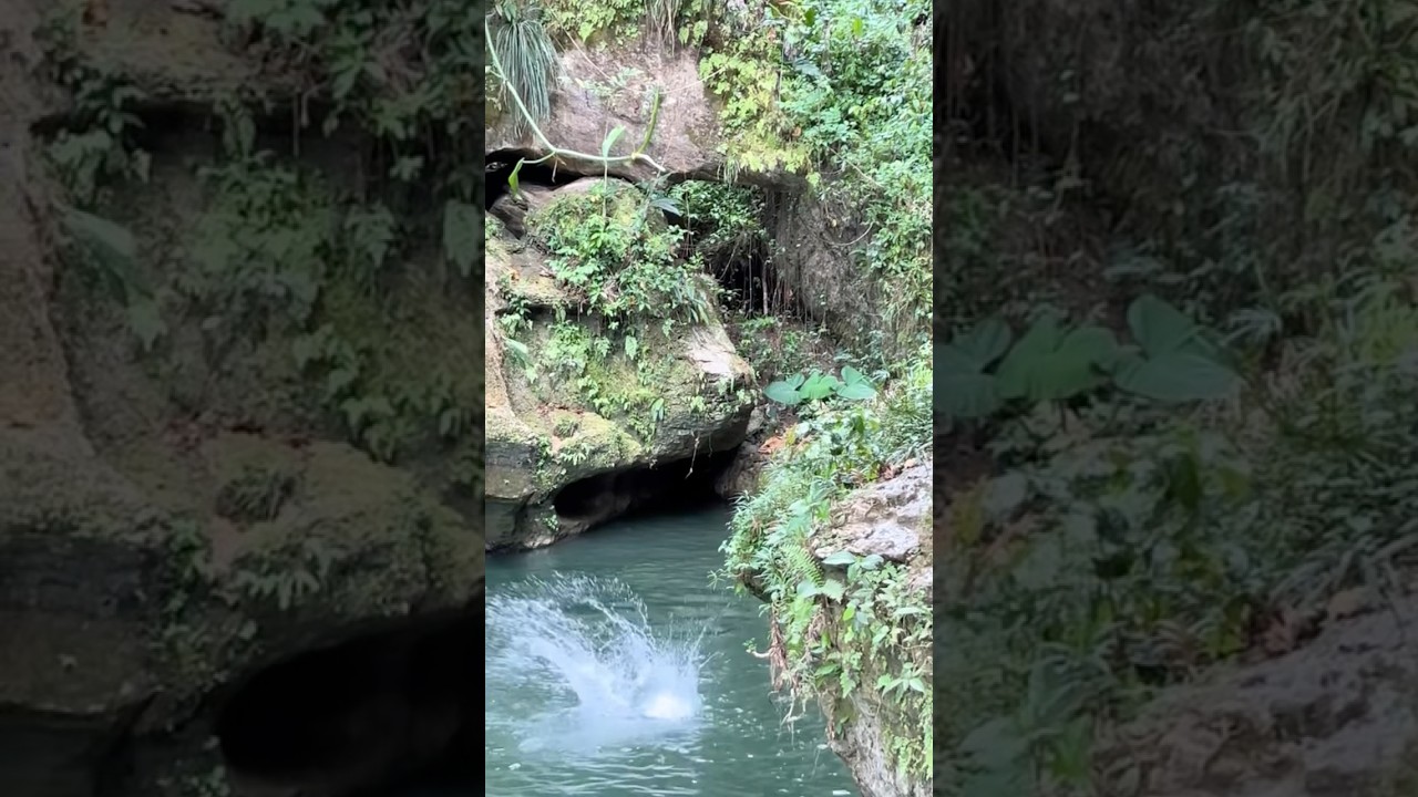 puerto rico mini vlog #shorts #minivlog #puertorico