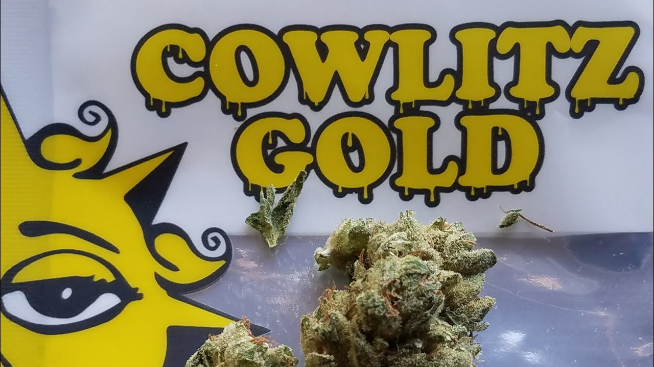 THIS WAS CRAZY || STRAIN REVEW || 3 IN 1 BOWL