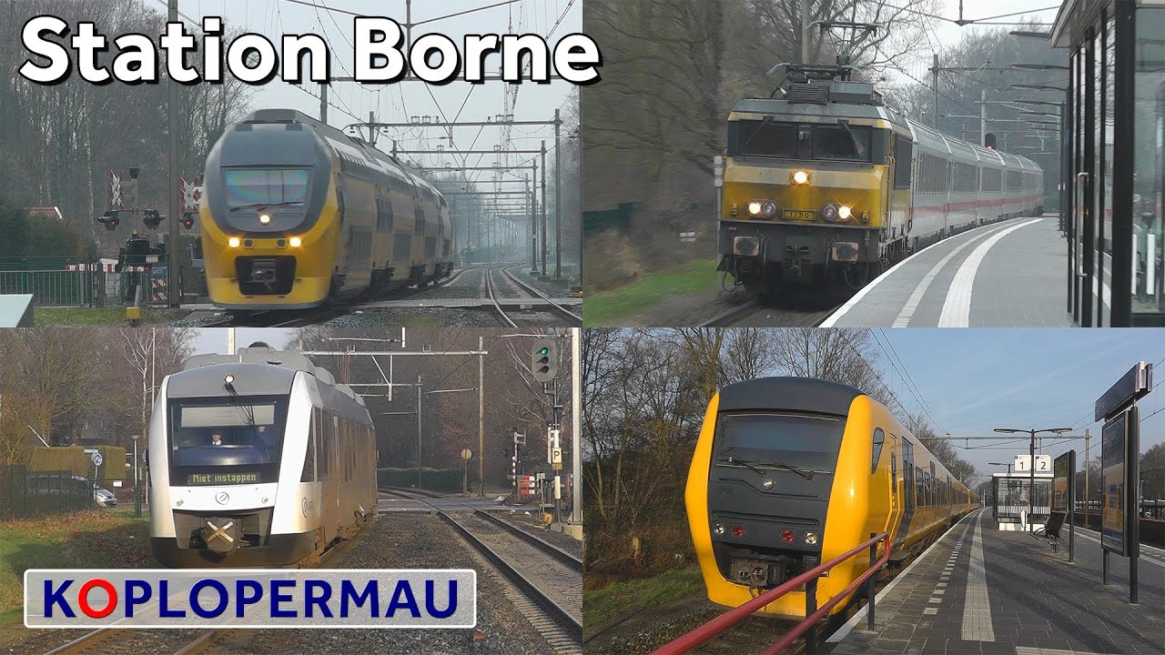 Treinen op station Borne // Dutch Train Compilation