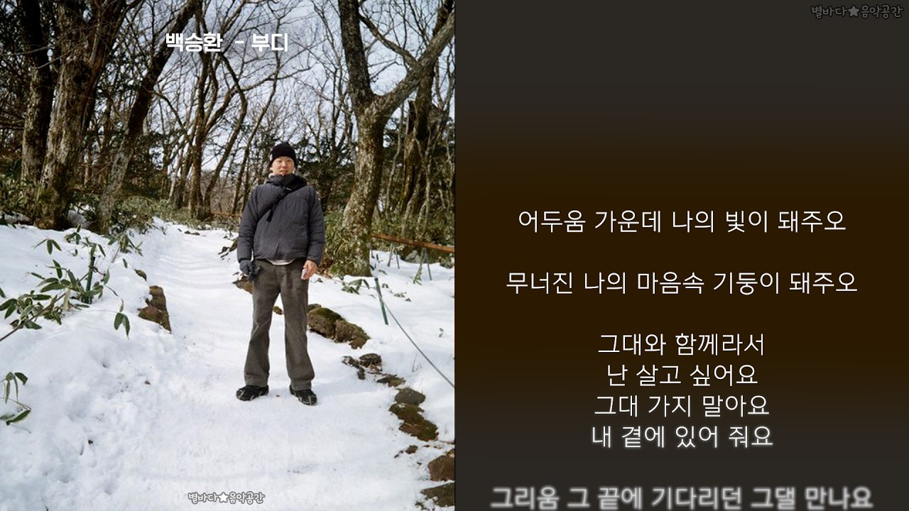 백승환 (Seung Hwan Paik) - 부디 (my light my pillar) (가사)