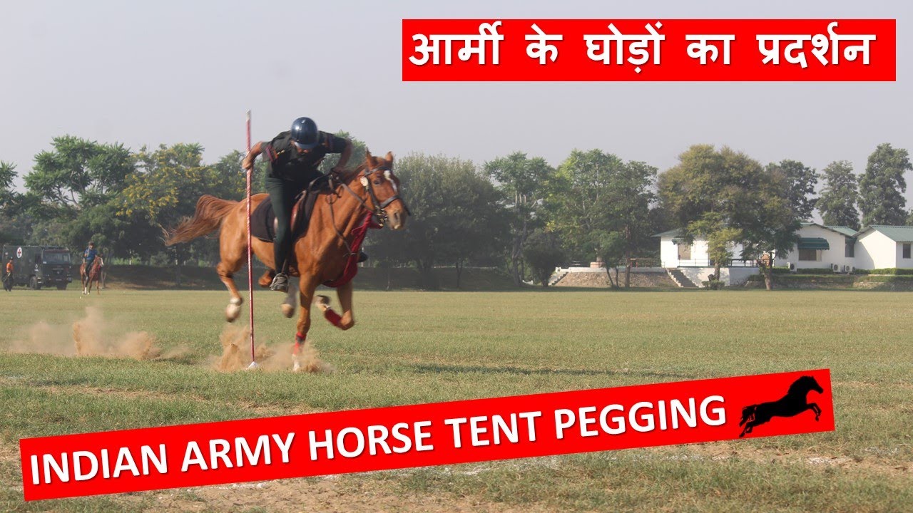 आर्मी के घोड़ों का प्रदर्शन टेंट पेगिंग | Indian Army Tent Pegging Competition | 61 Cavalry Jaipur