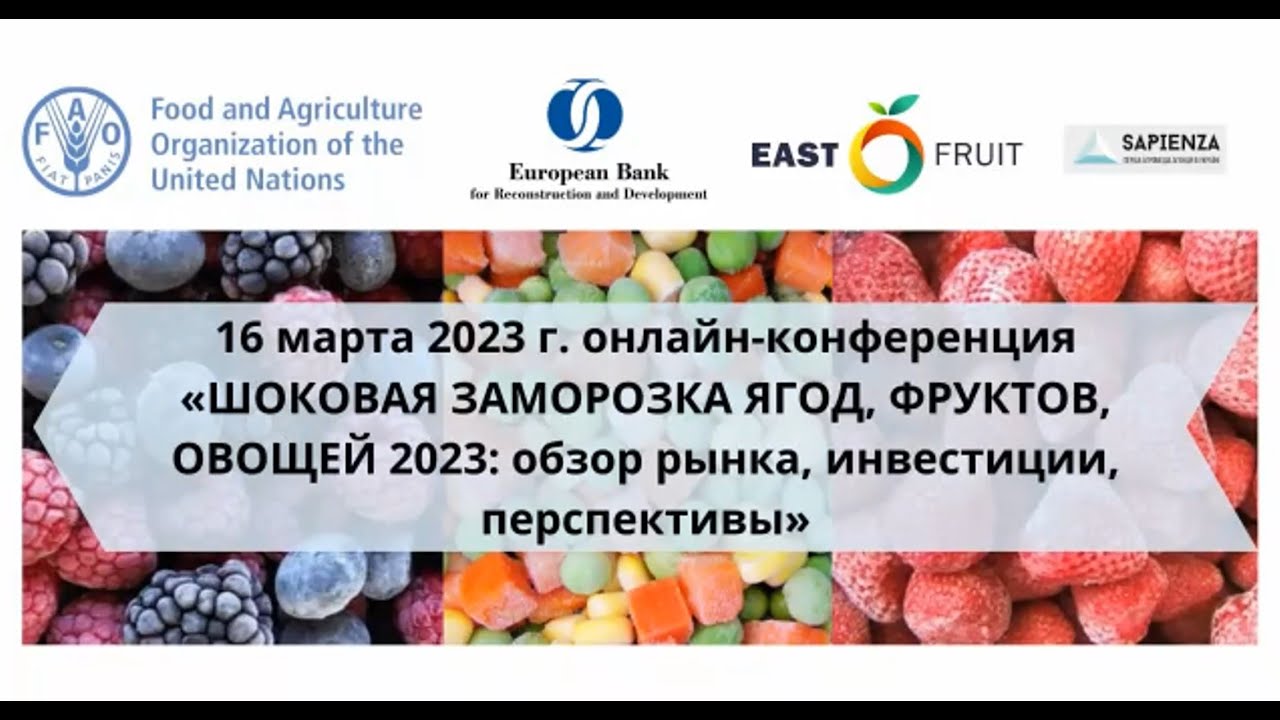 Шоковая заморозка ягод, фруктов и овощей 2023: обзор рынка, инвестиции, перспективы - конференция