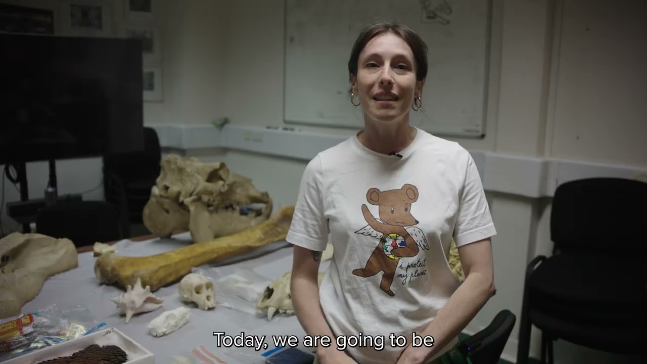 CSI: Wildlife | How ZSL Uses Forensic Science to Tackle Wildlife Crime