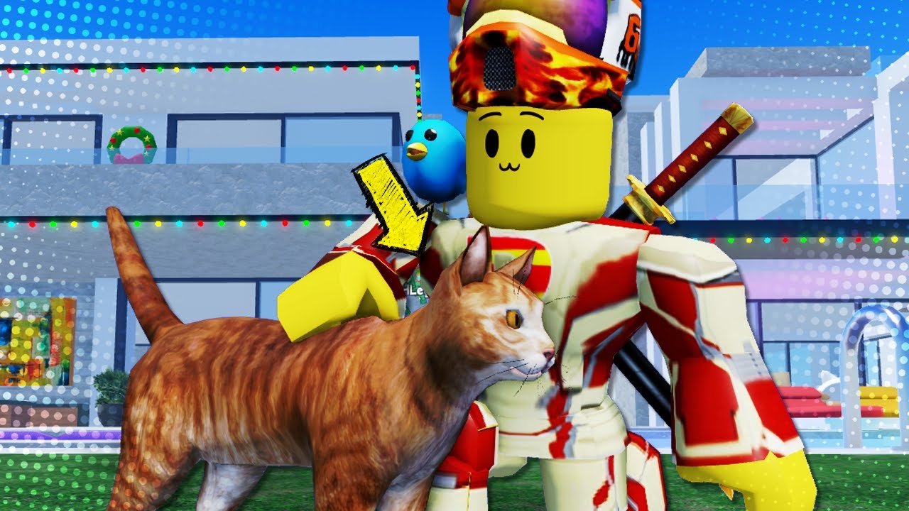 Kitten Game! (A Roblox Game)