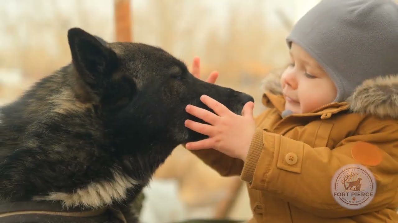City of FP: Animal Adoption Center PSA - March 18, 2024