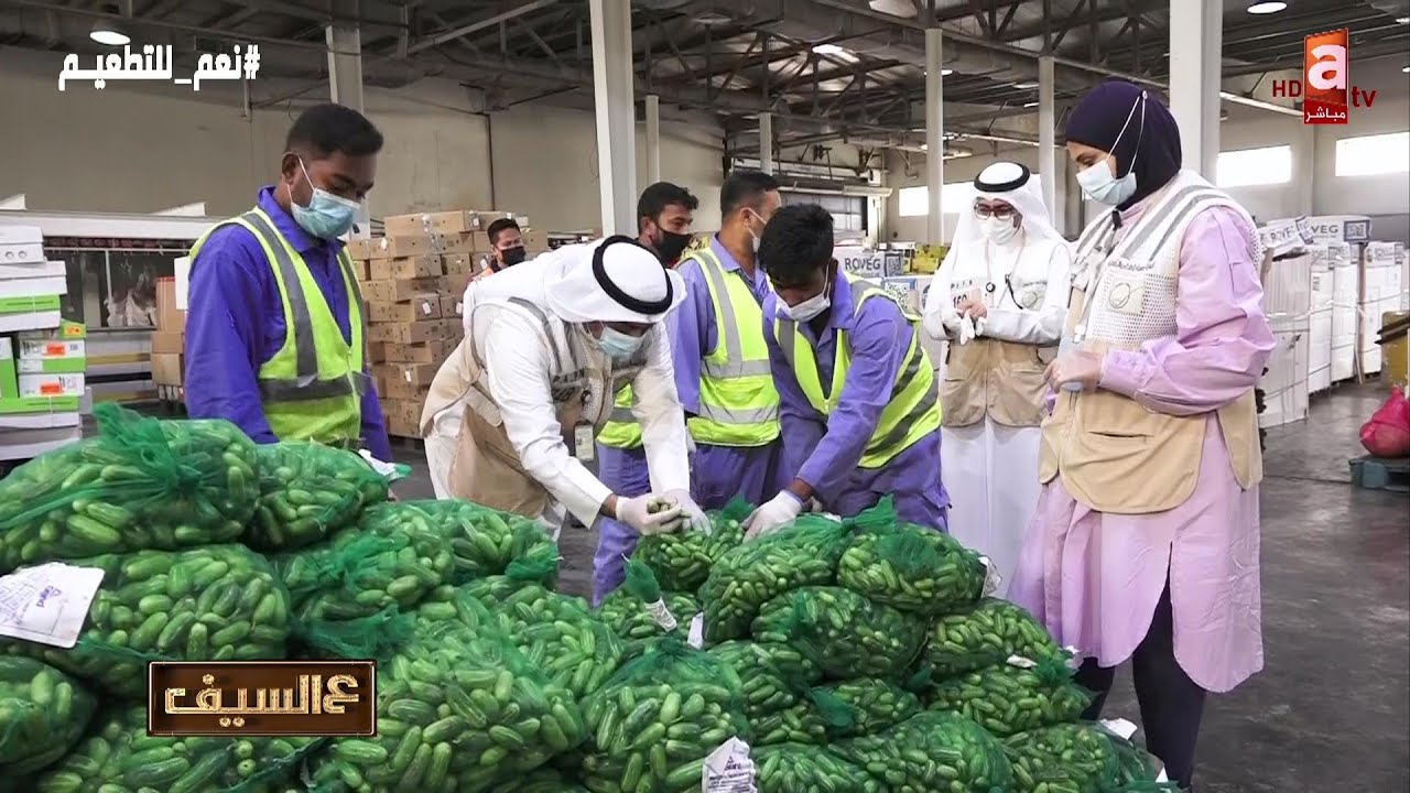 أمن الغذاء والرقابة على الواردات وحقيقة دخول أغذية ملوثة - لقاء م.جبر النصافي-هئية الغذاء والتغذية